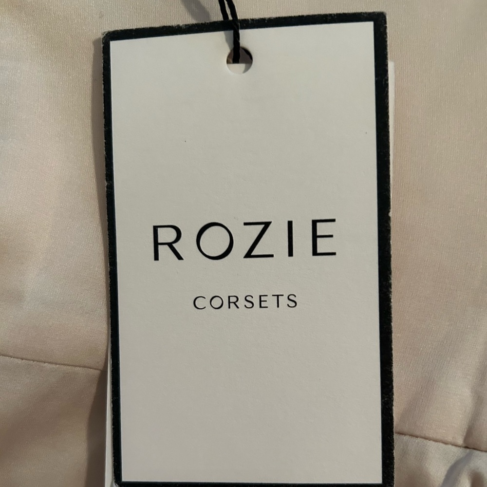 Rozie champagne sequin corset. Beautiful in perfect condition from Neiman Marcus